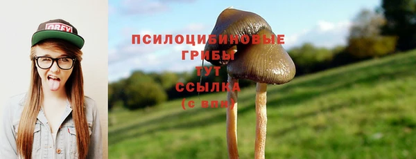 ECSTASY Коряжма