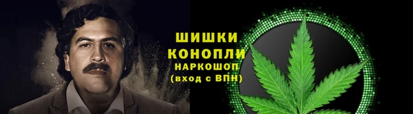 прущие грибы Фурманов