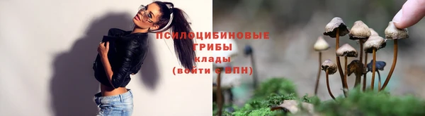jwh Козельск