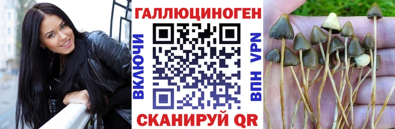 Галлюциногенные грибы MAGIC MUSHROOMS  Купить закладки  Железногорск-Илимский 
