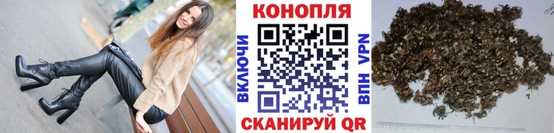 Бошки Шишки план  Купить  Железногорск-Илимский 
